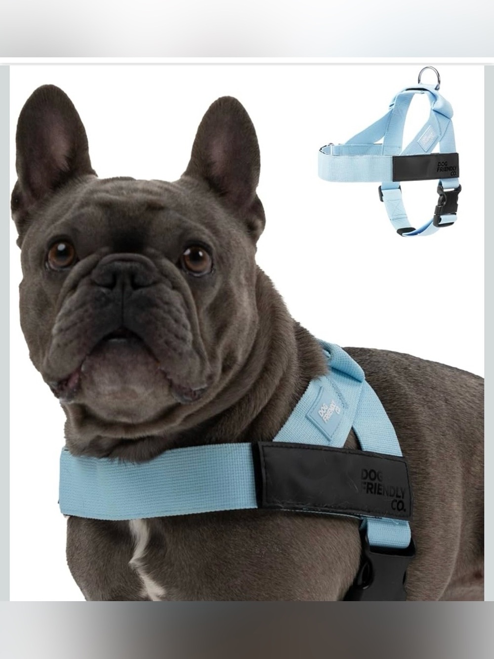 One Click Buckle, Chafe Resistant Webbing, Adjustable Neck & Chest L. 2933/db-1